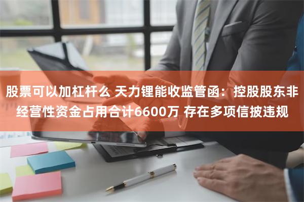 股票可以加杠杆么 天力锂能收监管函：控股股东非经营性资金占用合计6600万 存在多项信披违规