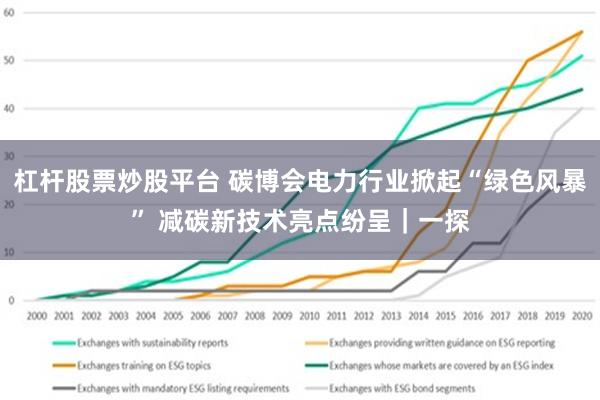 杠杆股票炒股平台 碳博会电力行业掀起“绿色风暴” 减碳新技术亮点纷呈｜一探