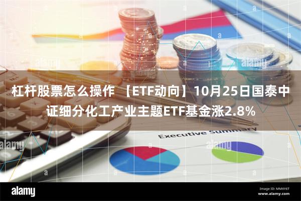 杠杆股票怎么操作 【ETF动向】10月25日国泰中证细分化工产业主题ETF基金涨2.8%