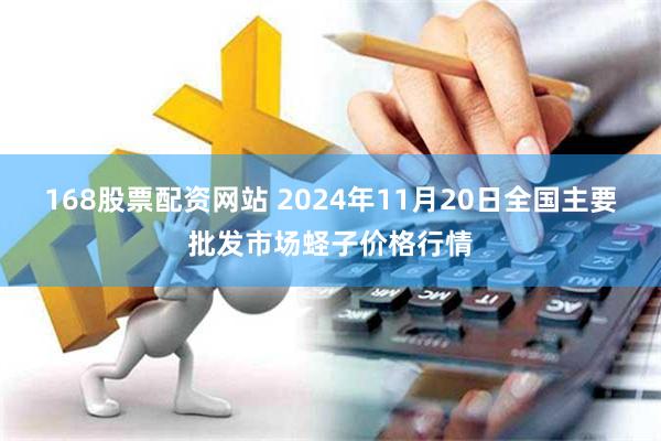 168股票配资网站 2024年11月20日全国主要批发市场蛏子价格行情