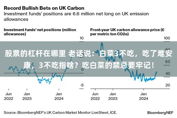 股票的杠杆在哪里 老话说：白菜3不吃，吃了难安康，3不吃指啥？吃白菜的禁忌要牢记！