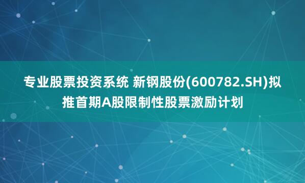 专业股票投资系统 新钢股份(600782.SH)拟推首期A股限制性股票激励计划