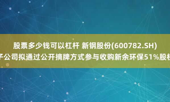 股票多少钱可以杠杆 新钢股份(600782.SH)子公司拟通过公开摘牌方式参与收购新余环保51%股权