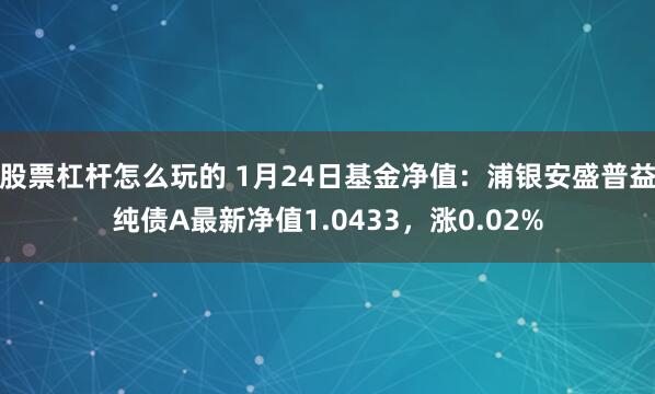 股票杠杆怎么玩的 1月24日基金净值：浦银安盛普益纯债A最新净值1.0433，涨0.02%